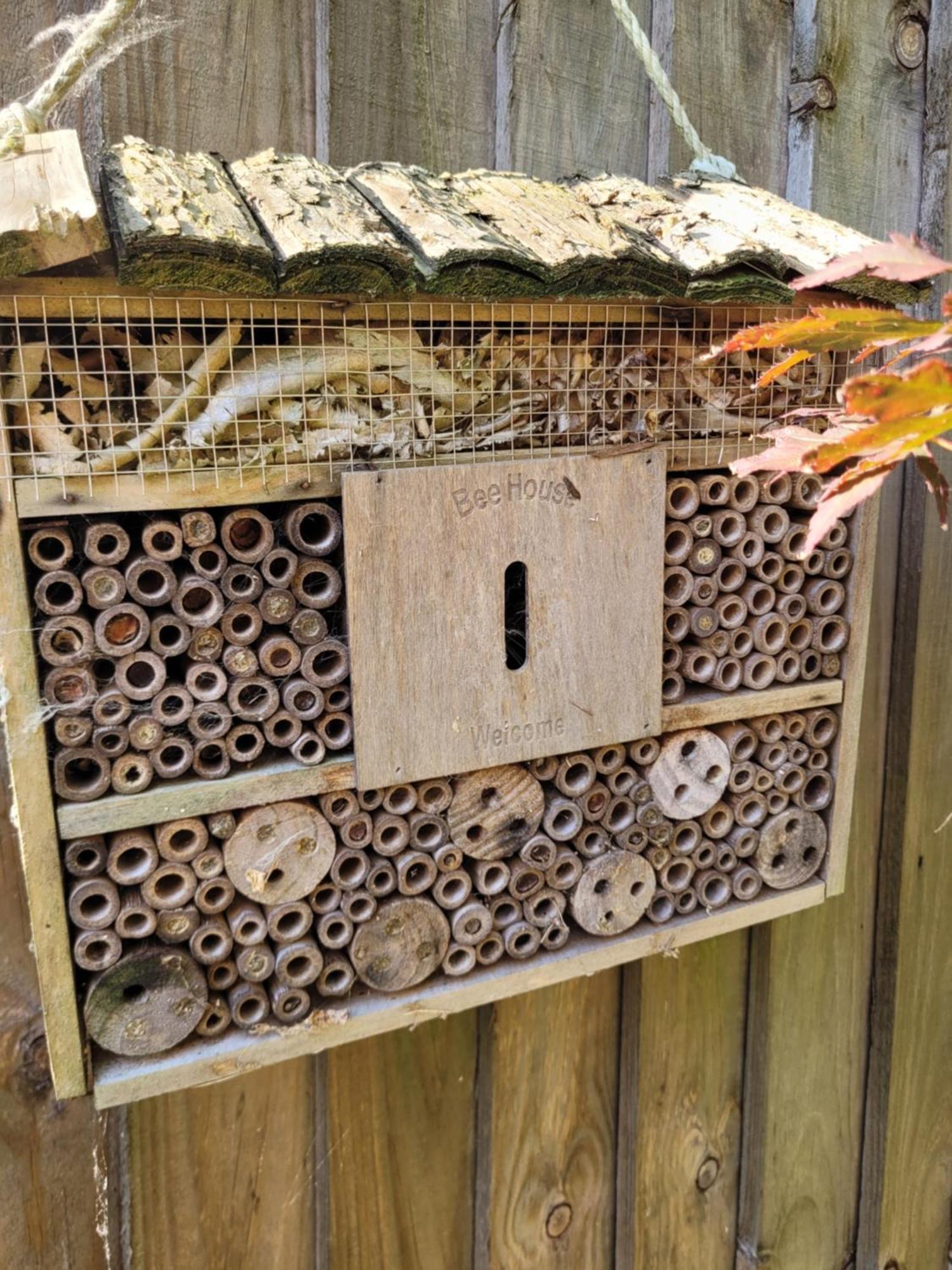 Bumblebee Bungalow - With Separate Office And Gaming Space By Catchpole Stays Colchester Kültér fotó